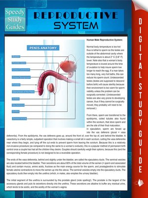 Reproductive System - ebook